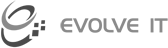 Logo Evolve IT